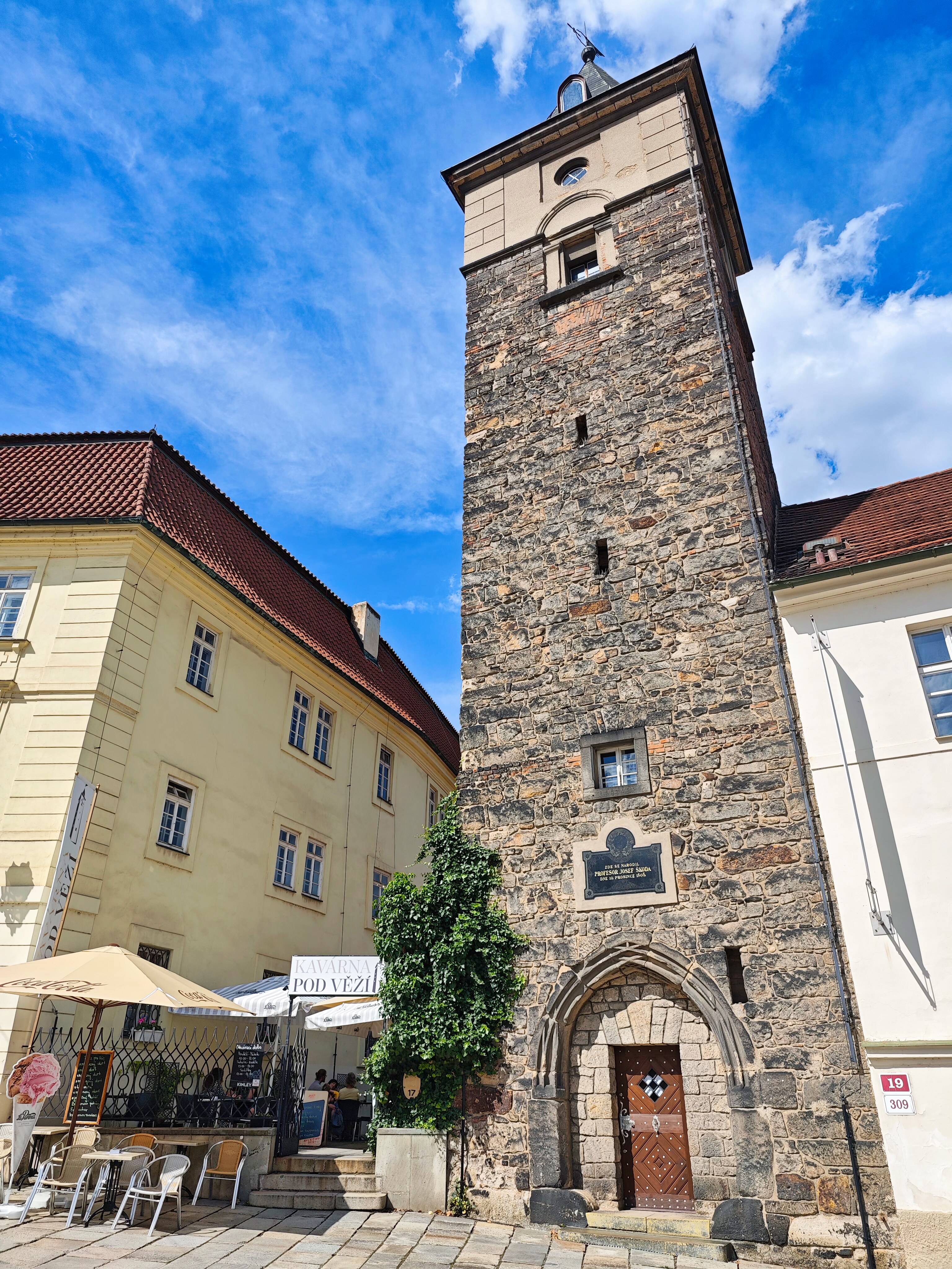 IMG 20240608 155635