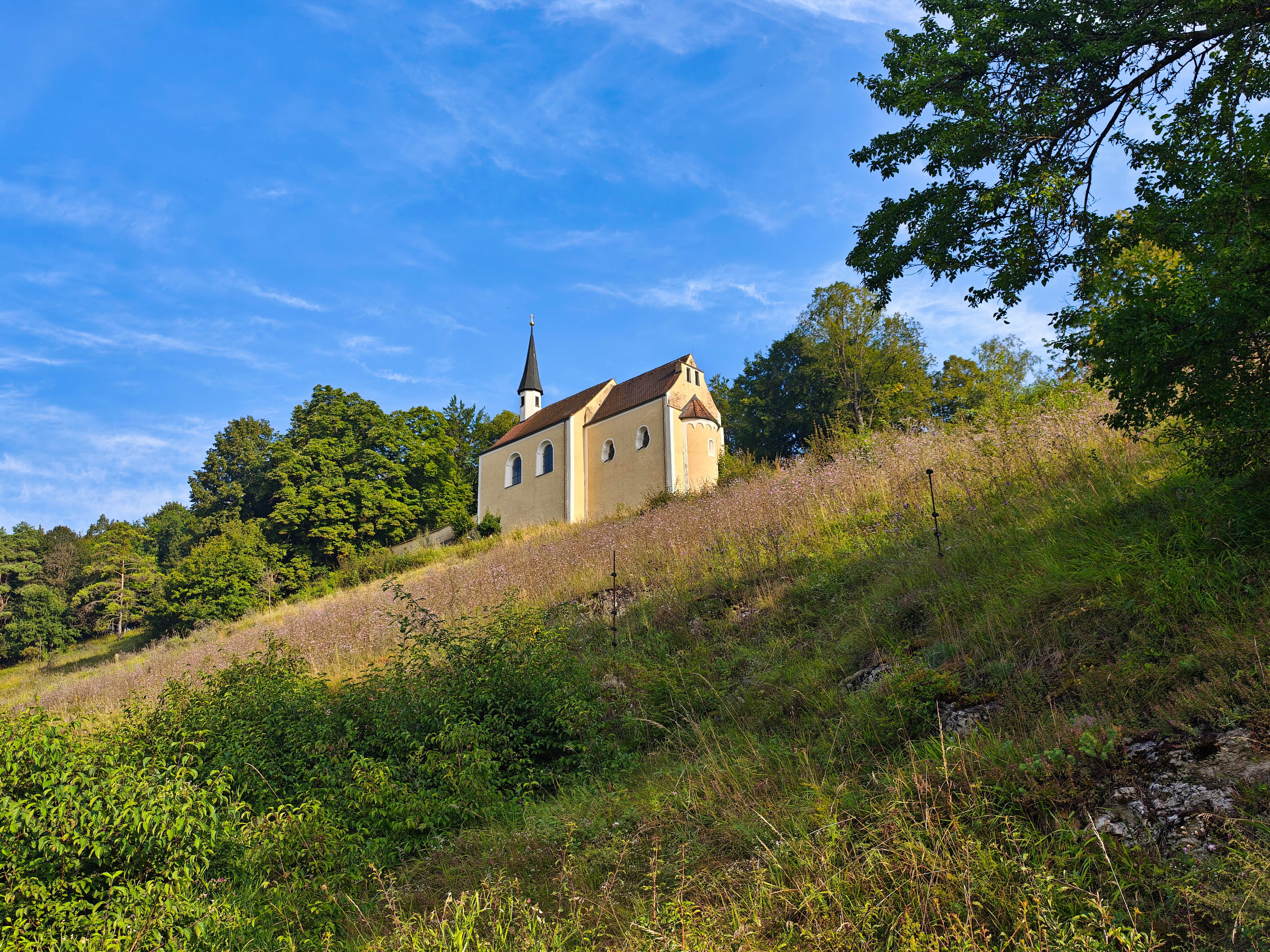 IMG 20240720 080907