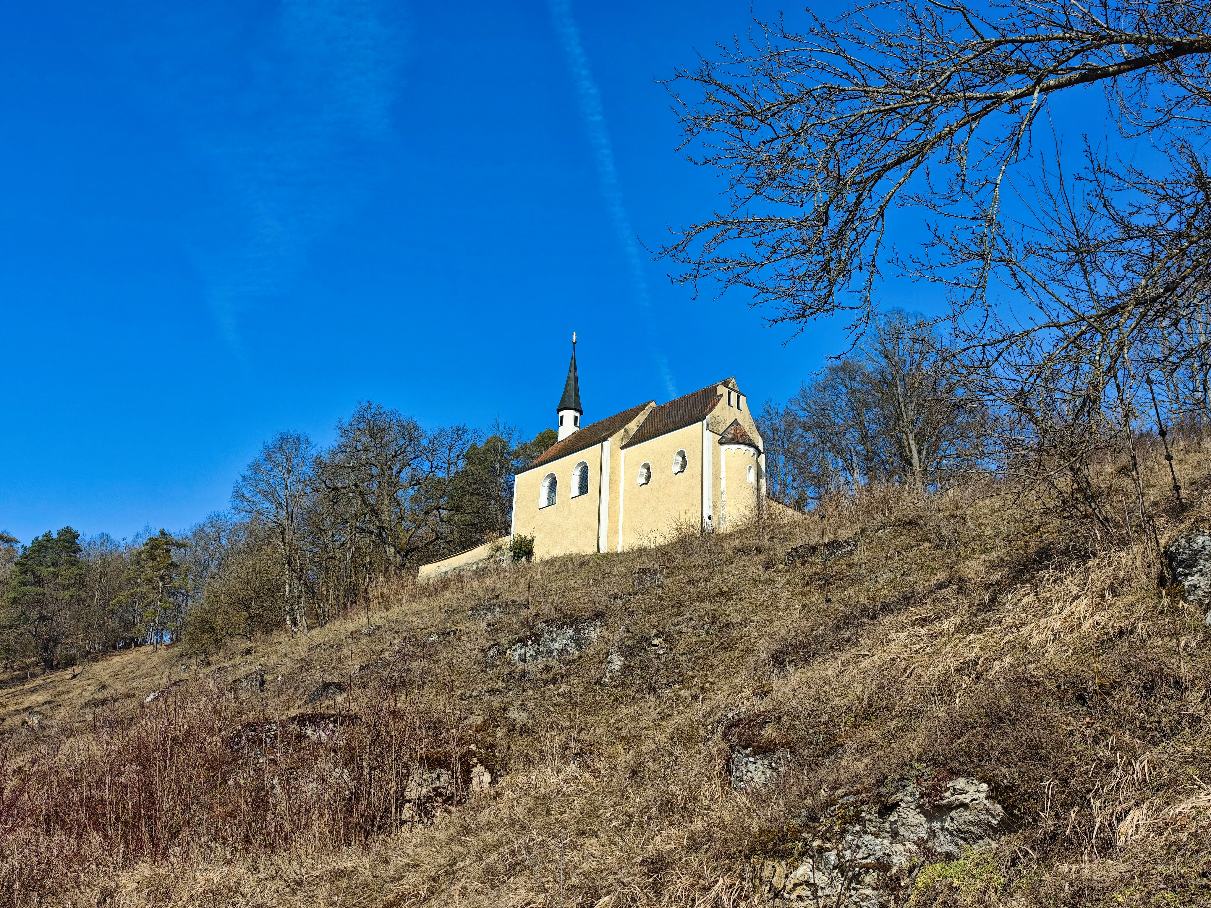 IMG 20250308 100708
