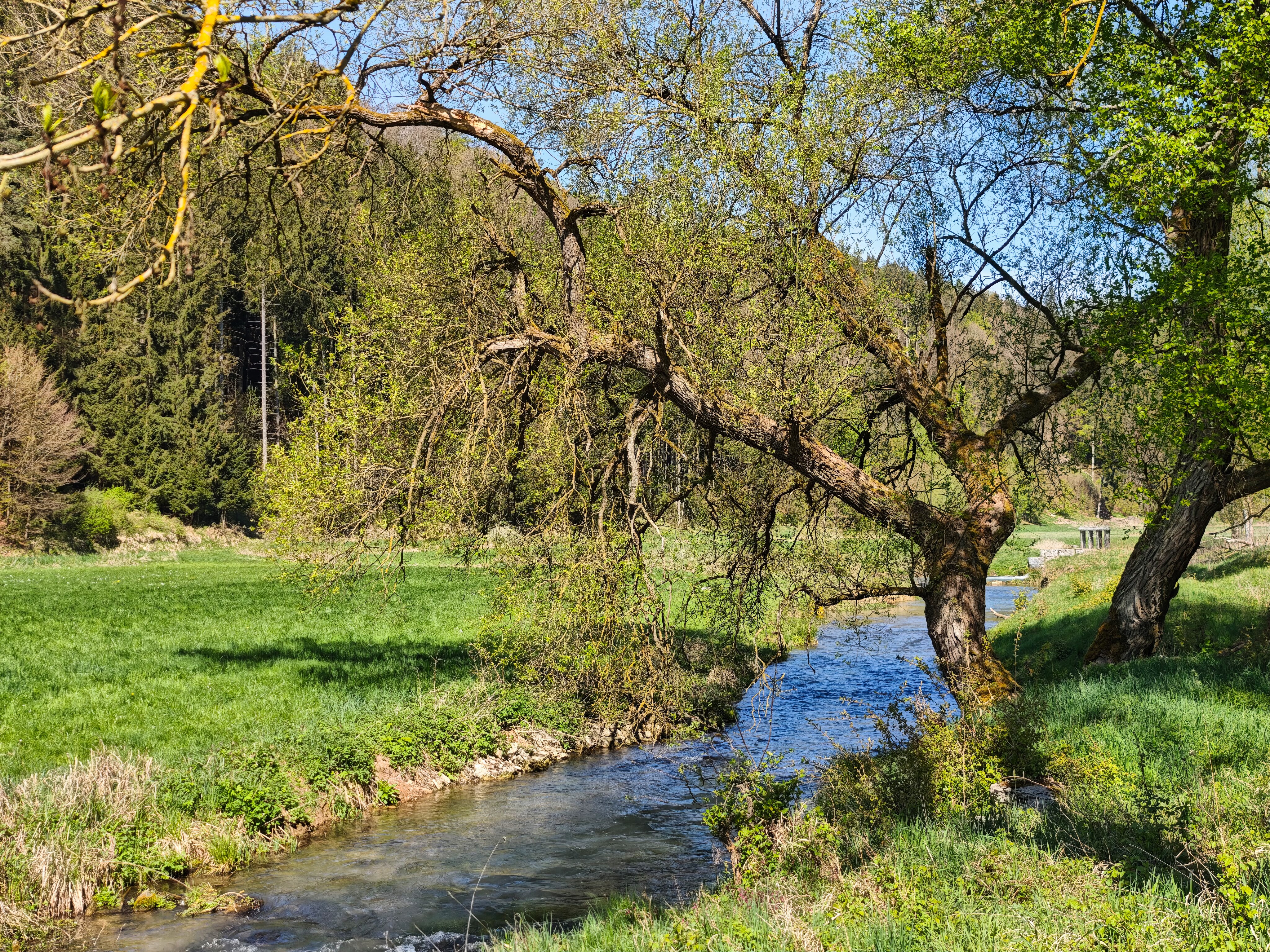 IMG 20250427 104753