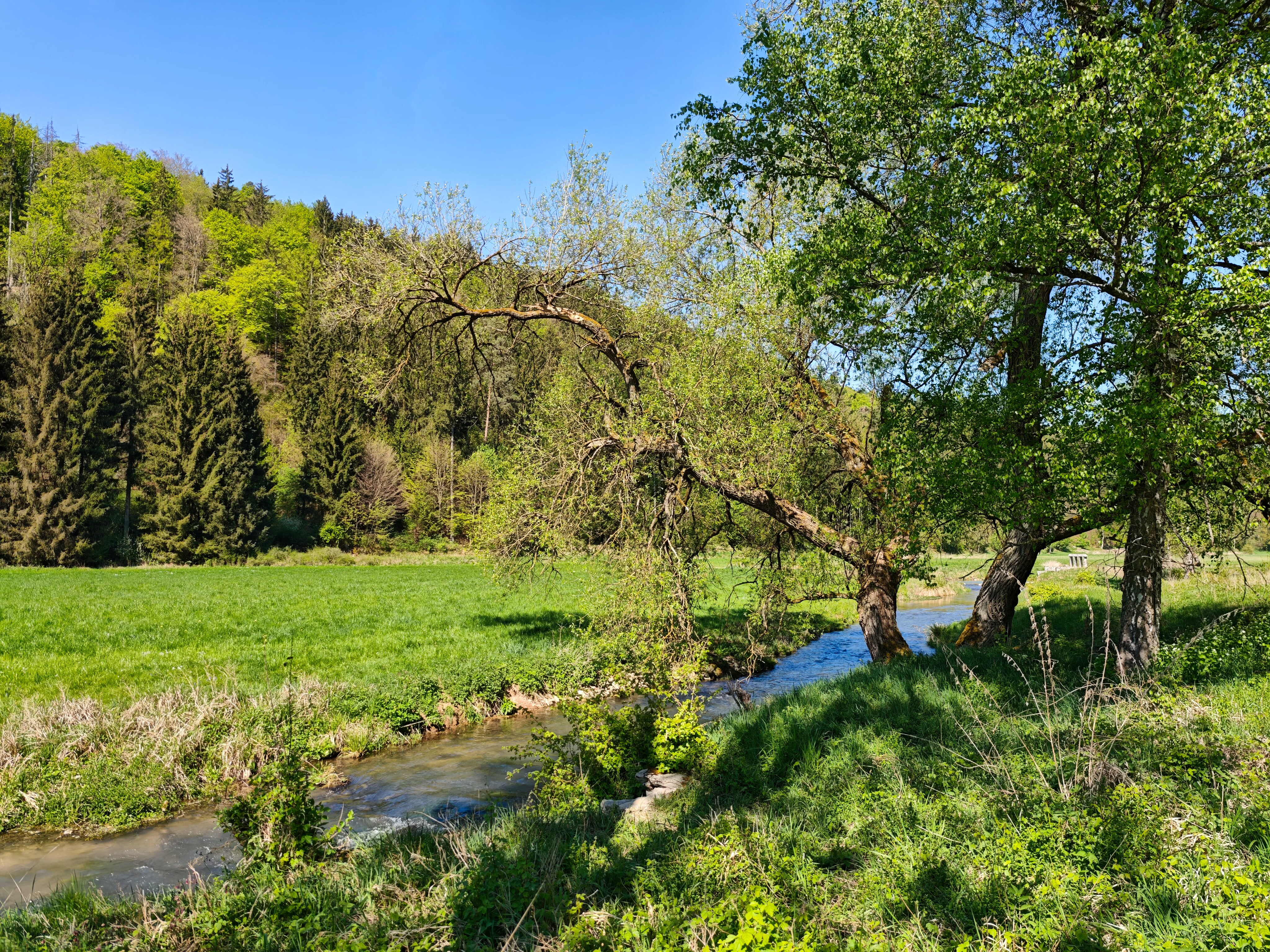 IMG 20250501 110624
