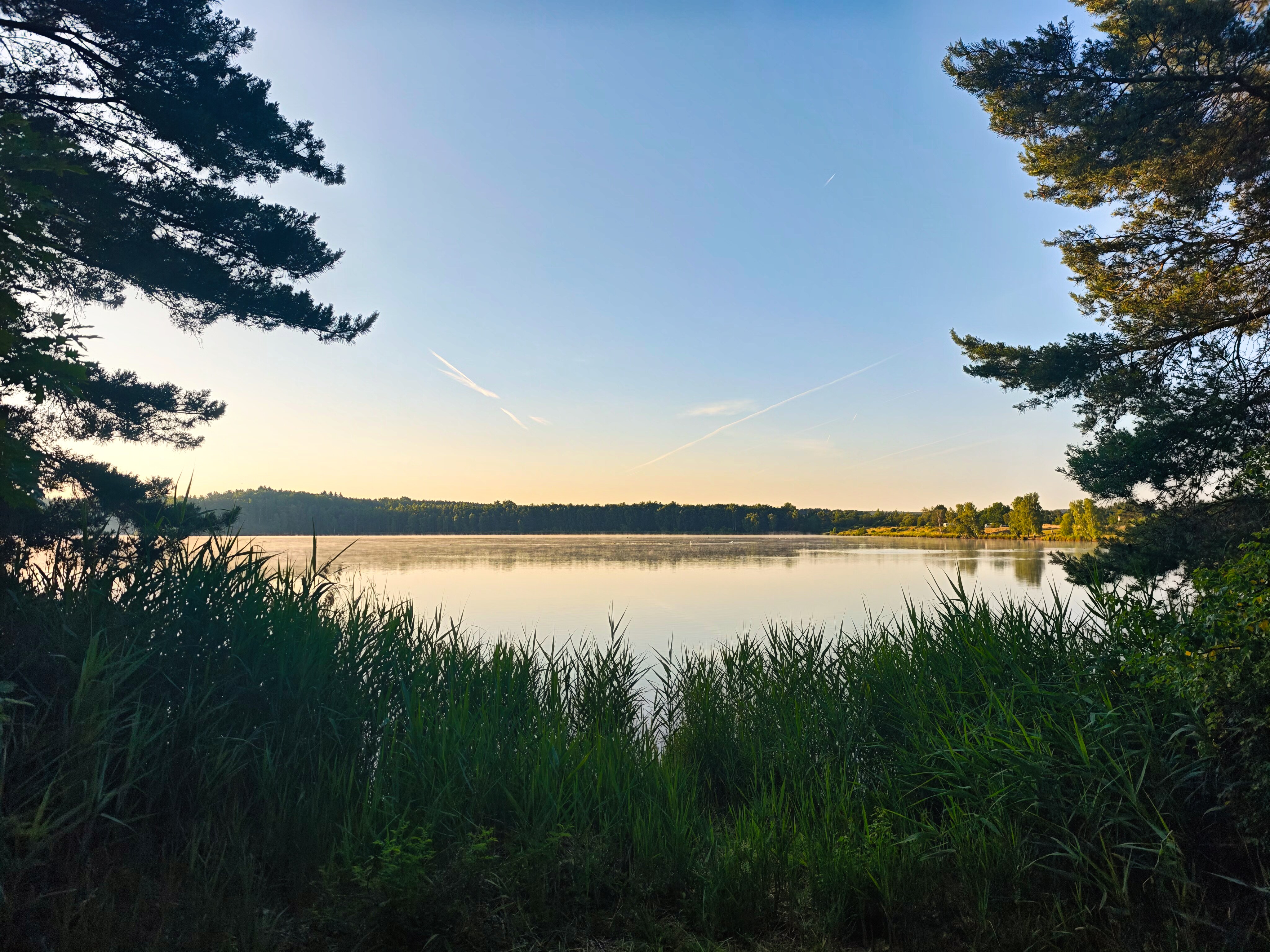 IMG 20250622 061646