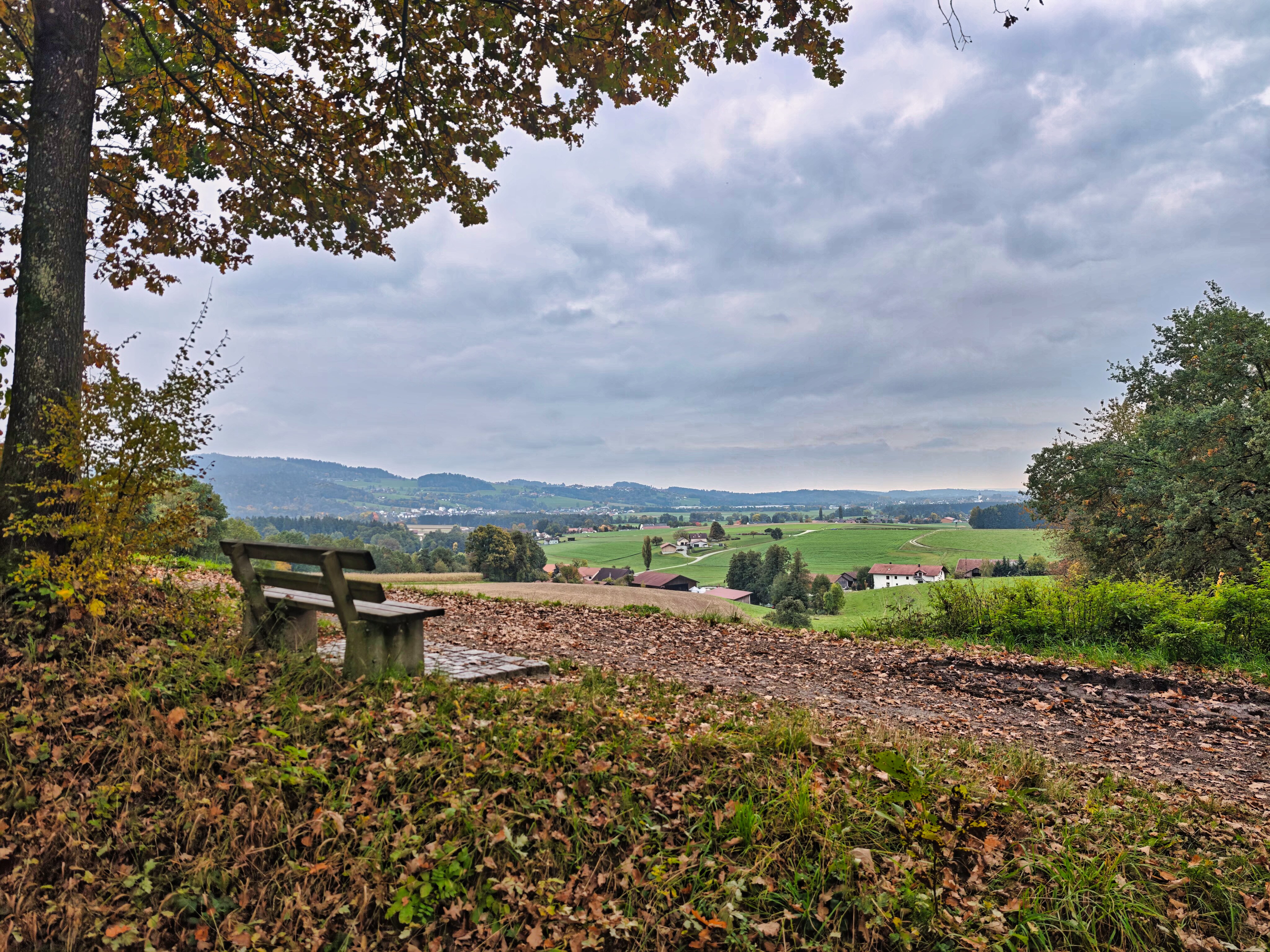 IMG 20251011 152133
